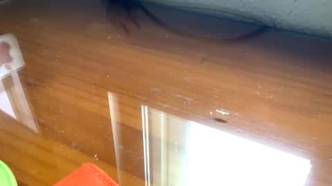 nudistadepilado online show from September 2025 10:04:01 AM