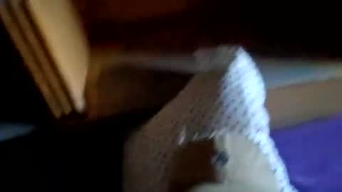 NYCGUY1982 online show from February 2026 07:45:01 PM