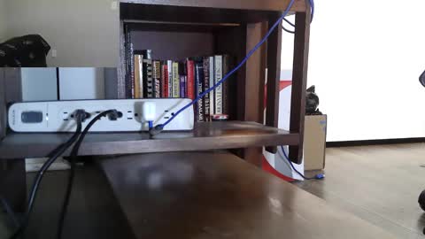 Nyctophilic online show from April 2026 03:39:01 PM