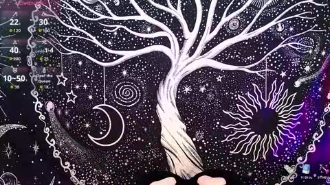 nyx murtualer online show from December 2025 03:00:02 AM