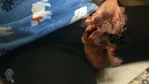 Snapshot of o0okukito0o chatting on January 2025 10:33:01 PM o0okukito0o online show from January 2025 10:33:01 PM