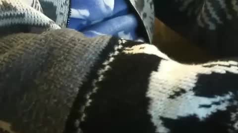 Snapshot of o0okukito0o chatting on January 2025 10:55:01 PM o0okukito0o online show from January 2025 10:55:01 PM