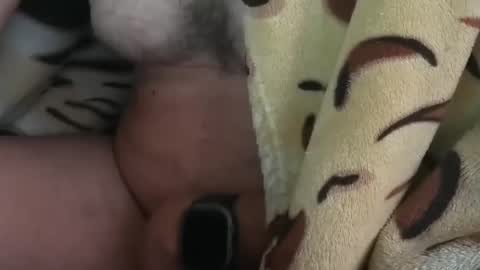 Snapshot of o0okukito0o chatting on January 2025 09:06:02 AM o0okukito0o online show from January 2025 09:06:02 AM