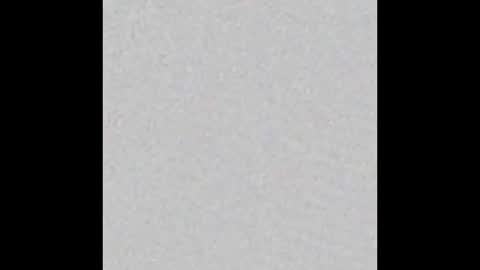 Obsidian stallion online show from December 2025 05:20:02 PM