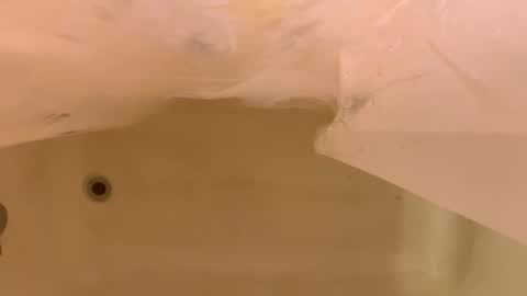 Odin Stone online show from January 2026 06:44:01 PM