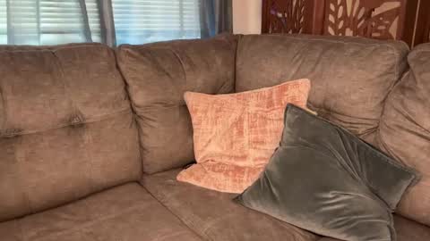 Tams online show from September 2025 03:11:01 PM