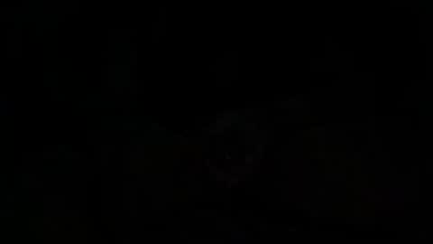Ribbon online show from May 2026 05:56:01 AM