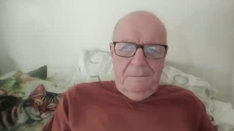 oggi95 online show from June 2026 08:06:02 AM