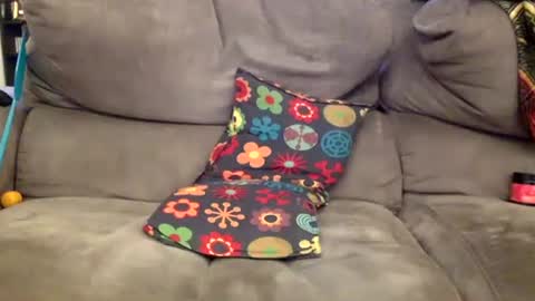 oggs48 online show from November 2025 12:45:02 PM