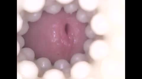 ohioguy4201985 online show from April 2026 10:24:02 PM