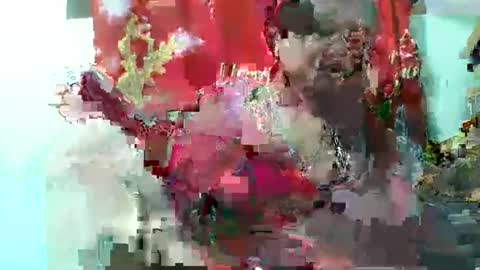 Snapshot of olgaaldy chatting on November 2025 08:03:01 AM olgaaldy online show from November 2025 08:03:01 AM