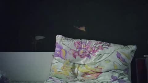 Snapshot of olivepeach chatting on April 2026 02:19:01 PM Oil online show from April 2026 02:19:01 PM