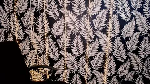 Kelly online show from April 2026 10:37:02 AM