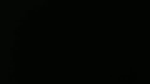 olli_5 online show from February 2025 11:17:02 AM