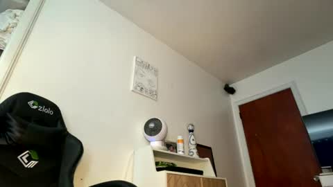 onedayonedollar online show from August 2026 02:49:01 PM