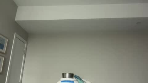 Horny and Bicurious online show from April 2026 03:18:01 AM