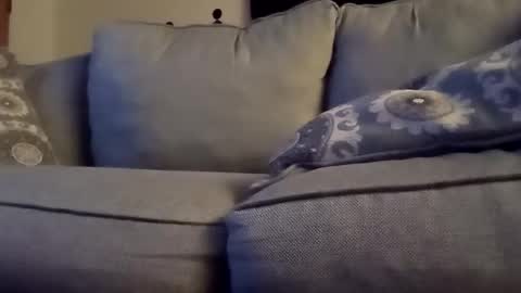 openmind_holes online show from January 2025 06:01:02 AM