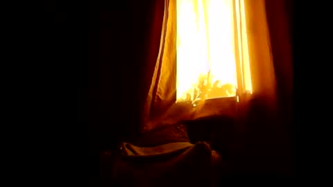 Opree online show from January 2026 07:11:01 PM