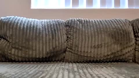 or2jrz online show from November 2025 05:17:02 PM