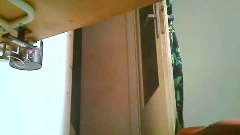 Snapshot of orangemarmelade chatting on February 2026 12:07:02 AM orangemarmelade online show from February 2026 12:07:02 AM