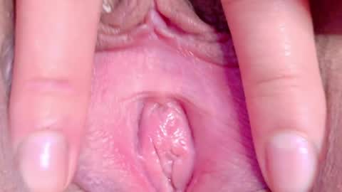 Snapshot of orchidekitty chatting on May 2026 11:14:02 PM orchidekitty online show from May 2026 11:14:02 PM