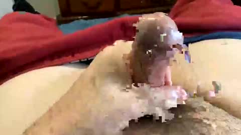 Snapshot of oreoworld chatting on December 2024 07:21:02 PM Super Soaker Oreo World online show from December 2024 07:21:02 PM