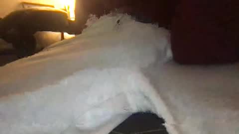 orvillewhitencocker online show from March 2026 11:20:01 PM