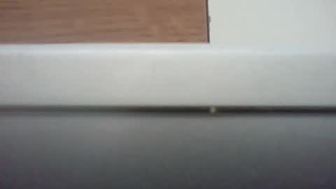 Snapshot of p9plot chatting on March 2026 03:01:01 PM p9plot online show from March 2026 03:01:01 PM