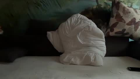 Porn online show from December 2024 08:33:02 AM