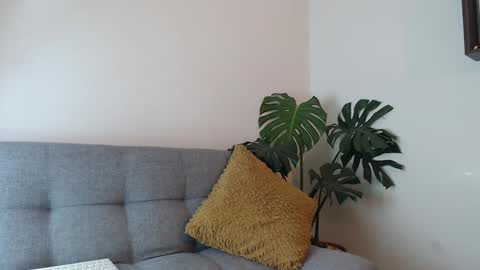 pantyhose_xxx_ online show from December 2024 04:08:02 PM