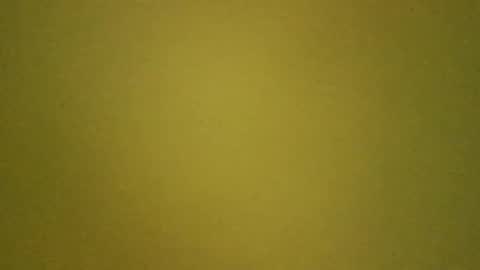 LaRocca online show from March 2026 10:53:01 AM