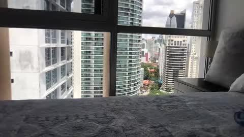 Snapshot of paradise_bird01 chatting on March 2026 05:30:01 PM Paradise Bird01 online show from March 2026 05:30:01 PM