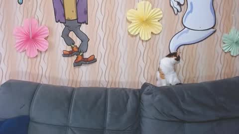 I am Lora and i am glad to see you in my room online show from October 2025 03:50:01 AM