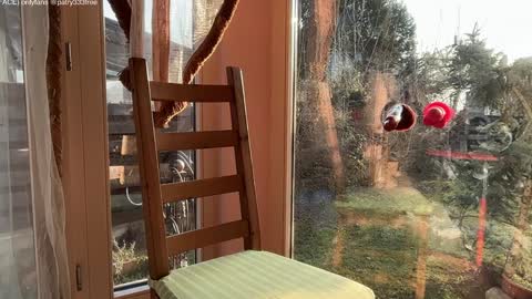 Andreea online show from March 2026 05:44:01 AM