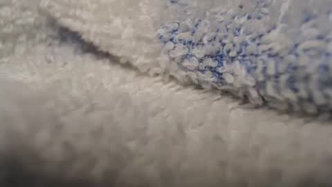 Patty online show from March 2026 05:08:02 AM