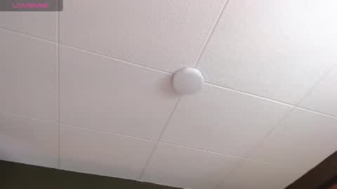 Paul online show from November 2025 01:10:02 PM