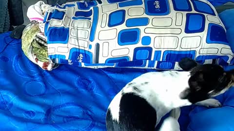 Snapshot of paula_willss chatting on January 2025 12:35:02 PM paula_willss online show from January 2025 12:35:02 PM