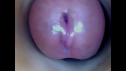 Paula 18 Aninhos online show from April 2026 06:21:01 PM