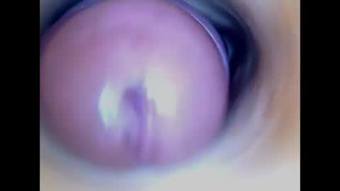 Snapshot of paulainoscente chatting on July 2026 02:48:02 AM Paula 18 Aninhos online show from July 2026 02:48:02 AM