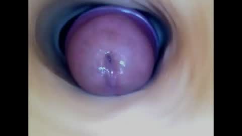 Snapshot of paulainoscente chatting on July 2026 02:04:02 PM Paula 18 Aninhos online show from July 2026 02:04:02 PM