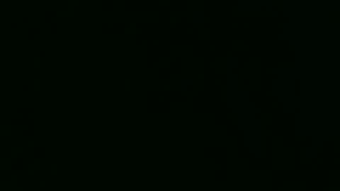 PaulCongo online show from April 2026 10:28:01 AM