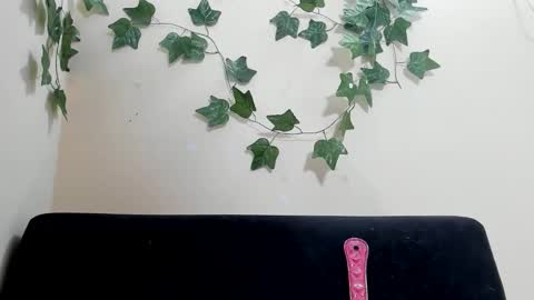 Paulinches online show from February 2026 08:24:02 PM