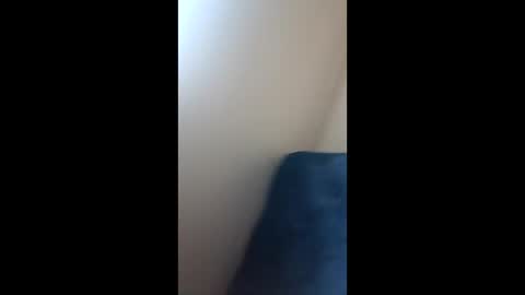 Paw online show from December 2024 09:23:01 AM