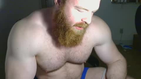 Pec inspector online show from February 2025 05:41:01 AM