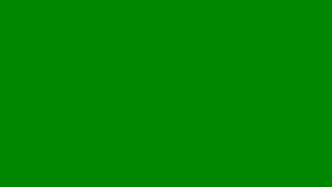 pedro________8 online show from May 2026 08:15:02 PM
