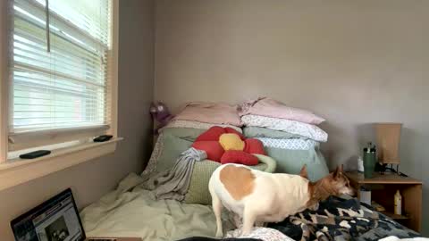 pegggggysue69 online show from March 2026 07:30:02 PM