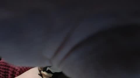 PeggySoft online show from October 2025 04:45:01 AM