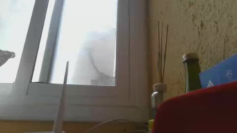 Snapshot of perales_12345 chatting on June 2026 03:25:02 PM perales_12345 online show from June 2026 03:25:02 PM
