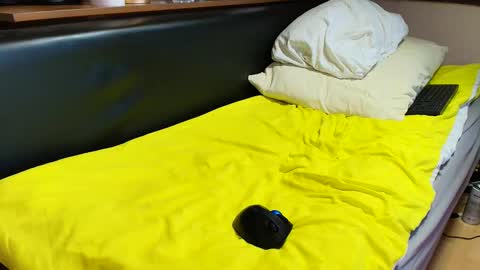 peter196888 online show from March 2026 02:34:02 AM