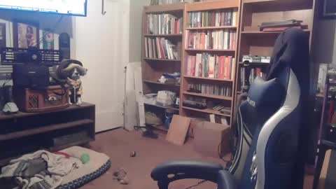 Snapshot of peterinohio57 chatting on October 2025 11:43:02 AM peterinohio57 online show from October 2025 11:43:02 AM